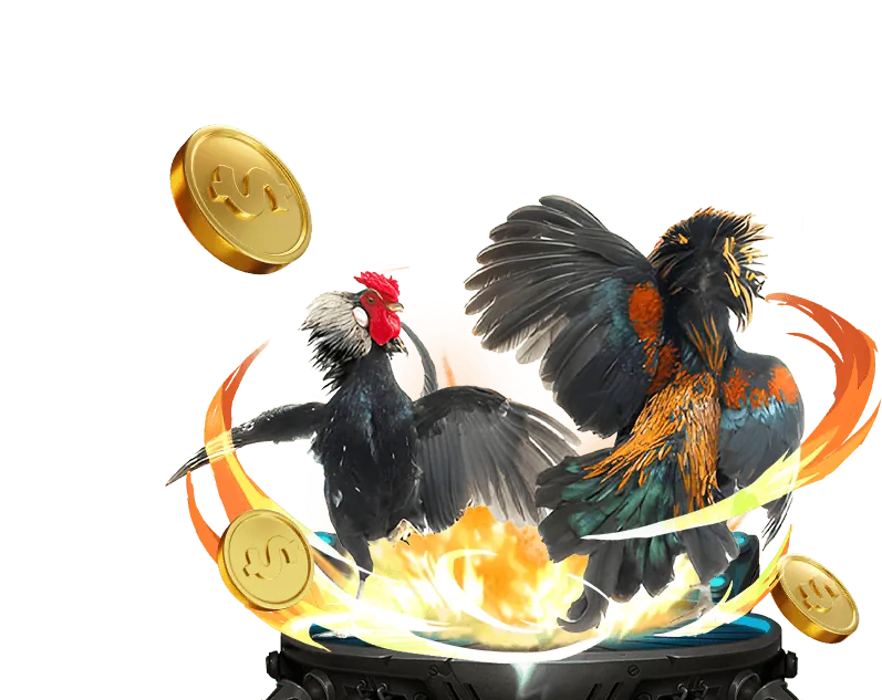 Giấy phép hoạt động 33win4